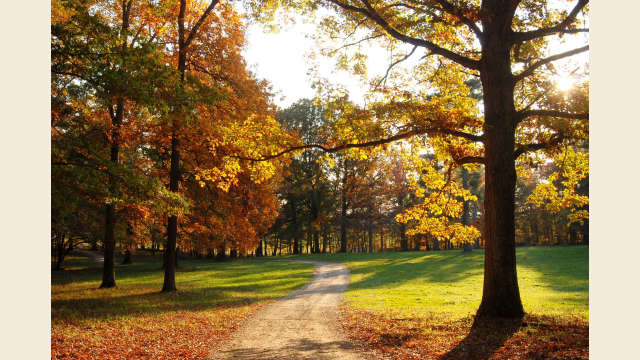 Albemarle County Fall Road