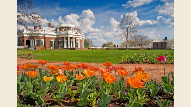 Monticello Springtime