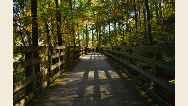 Saunders Monticello Trail