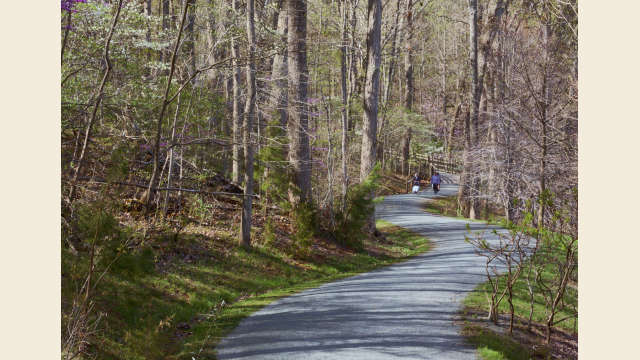 Saunders-Monticello Trail