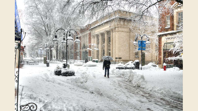 Downtown Snowfall