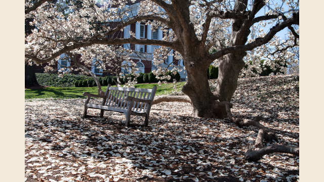UVA Bench