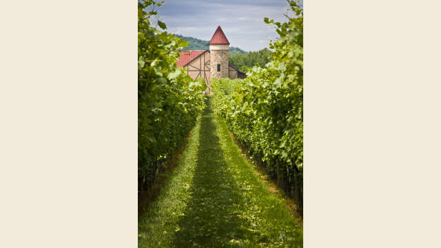 Barboursville Vineyard