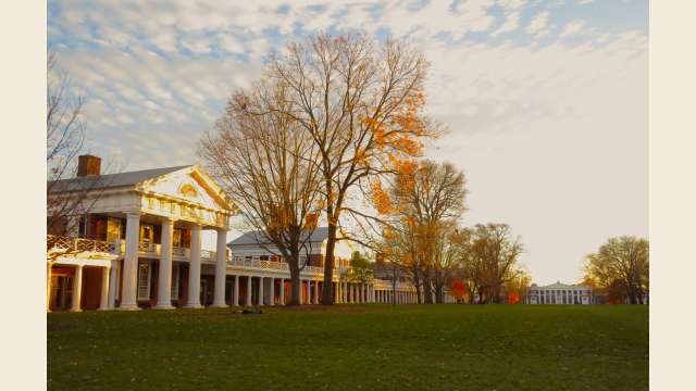 The Lawn in the Fall