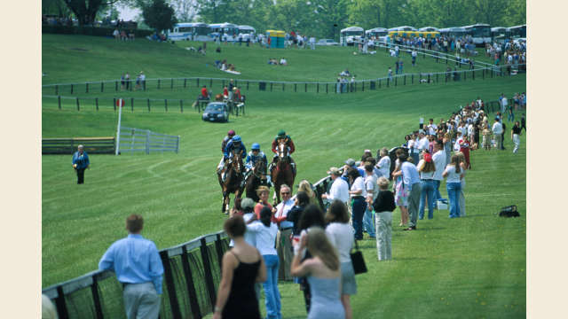 The Foxfield Races