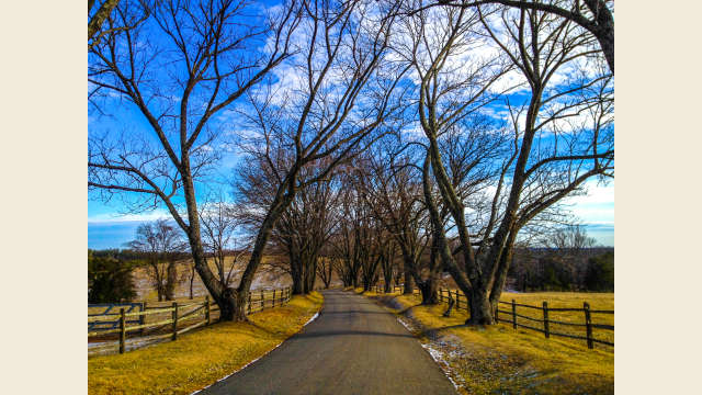 Snow Dusted Country Road