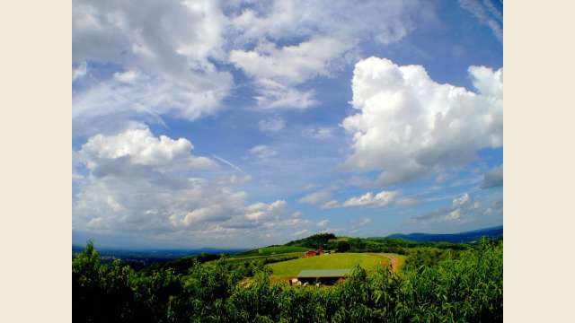 Carter Mountain View