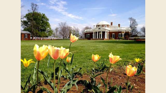 Springtime Monticello