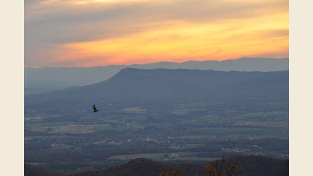 Albemarle County Scenery