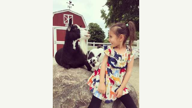 Columbian Park Zoo