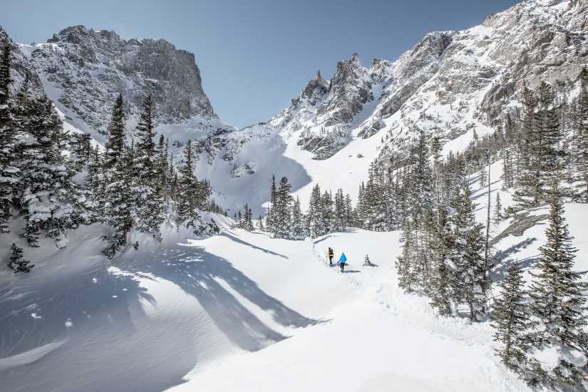 Snowshoe