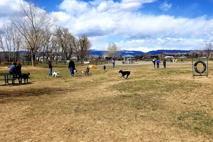 dog park