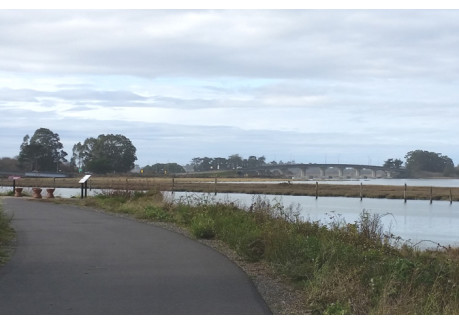 Waterfront north of the Eureka Bridge.