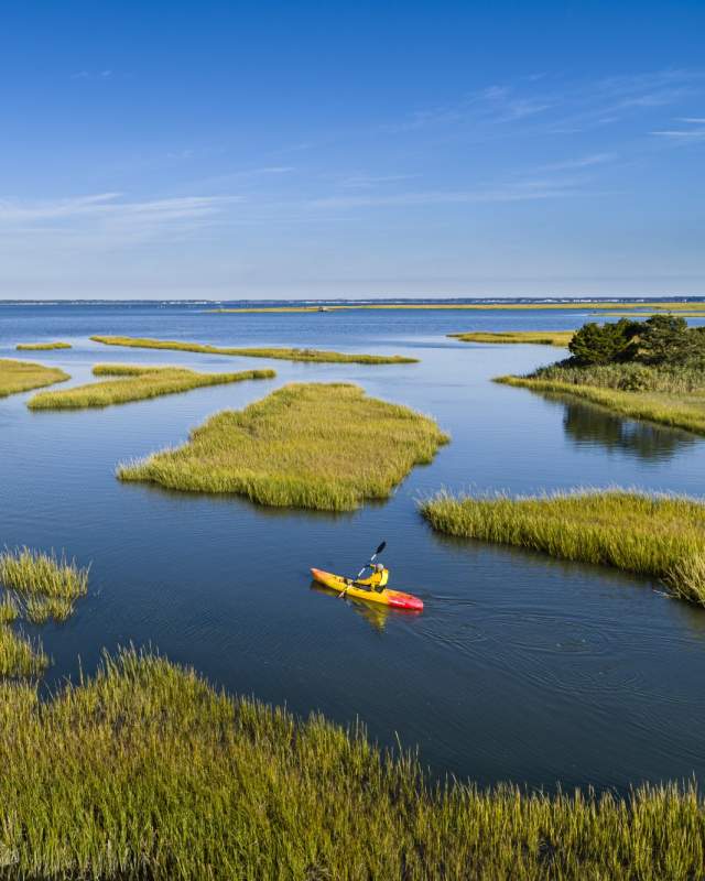 A paddler moves through the marsh channels of Woodland Beach in Delaware.