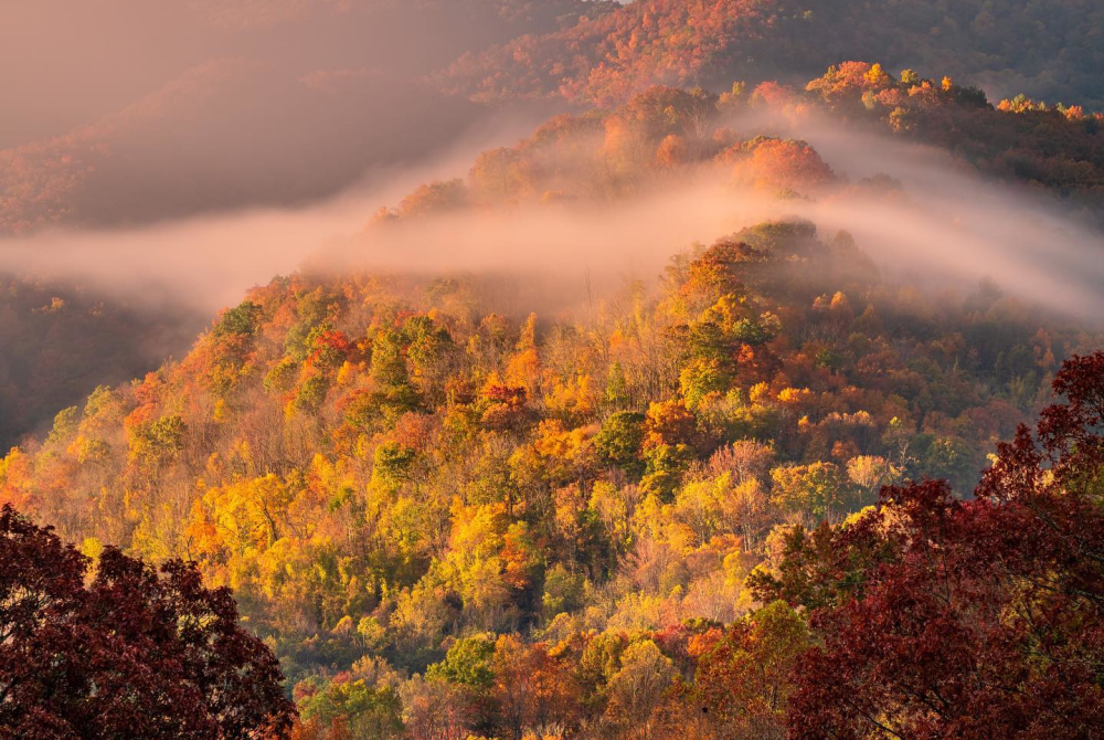 Asheville 2021 Fall Color Report & Forecast Scenic Views Asheville