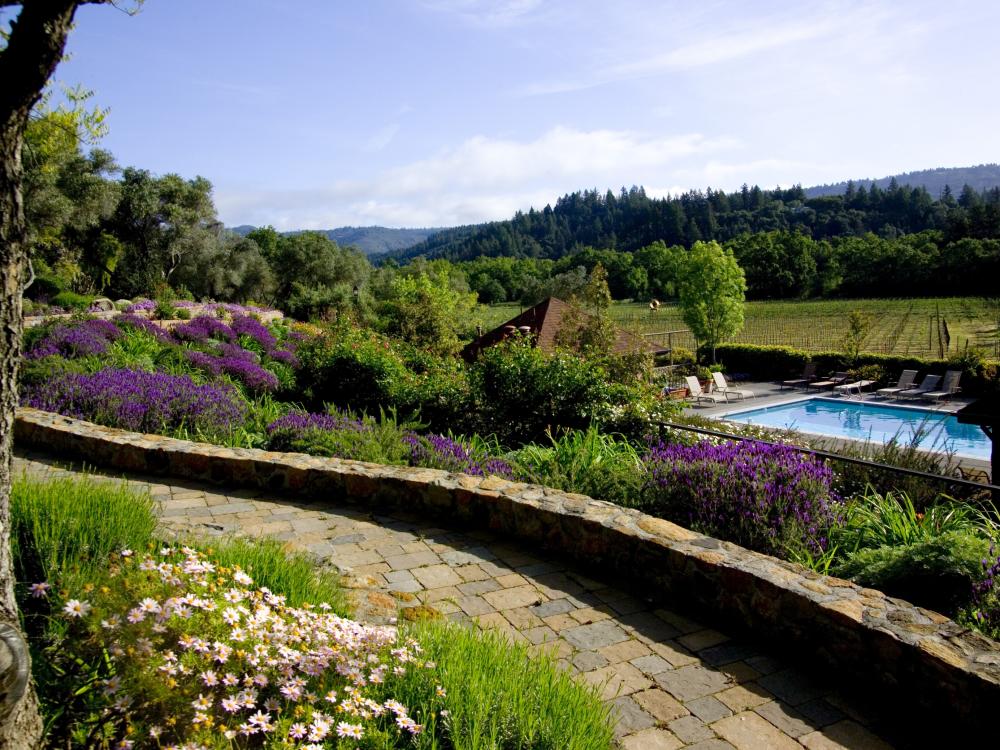 Napa Valley Escorts