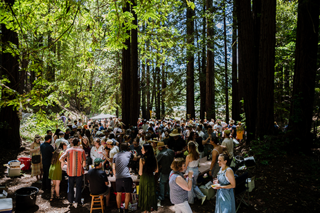 Big West Wine Fest in Guerneville