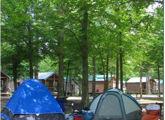Virginia Beach Campgrounds Cabins RV Parks Coastal Camping