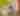 Two women walking and holding hands in German Village