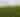 a green grass hill with orange wildflowers. People are standing on top of the hill. One man has is arms out to the side