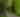 Two bikers riding on the Lansing River Trail surrounded by lush green plants