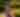 Mom with two young girls walking through the Botanical Garden in Green Bay Wisconsin
