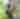 Go Ape Treetop Adventure