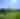 A man in a white shirt and blue shorts putts on a bright green course.