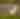 Huntley Meadows Park - Birding - Egret - Nature - Wildlife