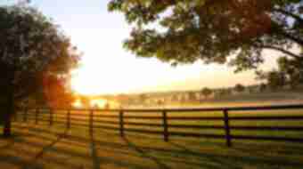 View of Sunset at Horse Farm