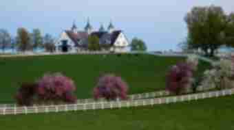 Manchester Farm