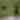 paddleboarding salt river horses