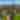 Downtown Skyline