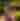 Mom with two young girls walking through the Botanical Garden in Green Bay Wisconsin