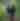 Couple hiking on a forested trail
