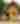 Jamestown Settlement