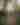 Woman walking near plants and tall trees during daytime