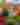Farmers Market - West Allis Farmers Market 2