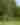 A golfer prepares to hit a ball over a stream, surrounded by green trees.