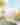 Greater Fort Lauderdale Convention Visitor Bureau