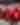 Ohio State Football