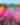 Dallas Holi Mela Festival of Colors
