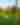 Close-up of a golf ball near a hole on a green course. In the blurred background, a golfer prepares a putt, surrounded by lush trees under a blue sky.