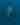 whale shark