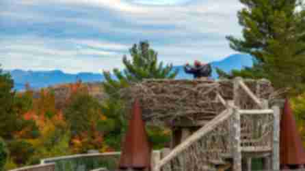 Person photographing fall foliage at Birds Nest at Wild Walk