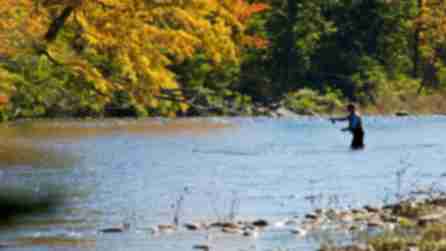 A person fly fishing in Esopus Creek in the Catskills