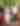Two women and two men take a walk down a forest path in the Pocono Mountains.