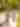 Charlotte County, couple on Yellow Loaner Bikes