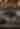 Chef Throwing Flour in the Air