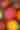 Assorted Heirloom Tomatoes